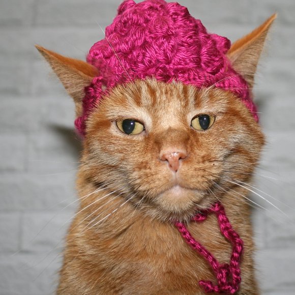 Hand Crafted Other - HAND CRAFTED Raspberry Beret Fruit Cat Hat Crochet Wig Costume Photo Prop